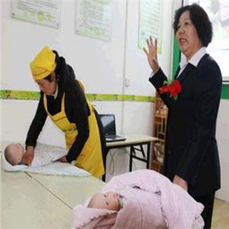 嘉和家政服務(wù) 一站式解決方案與信息技術(shù)咨詢