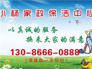 大邑家政服務全方位指南 讓您輕松找到貼心生活助手