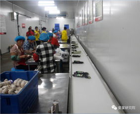 歡樂愛家工廠開放日 以信息技術咨詢服務，用心感知，用心服務