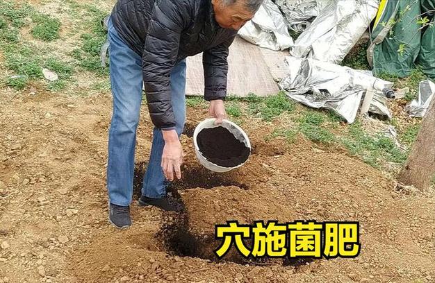 除產(chǎn)品外,方法占第一